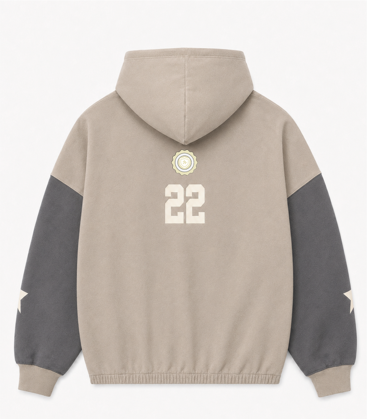 Sudadera con capucha All-Star Division (Gris Arena)